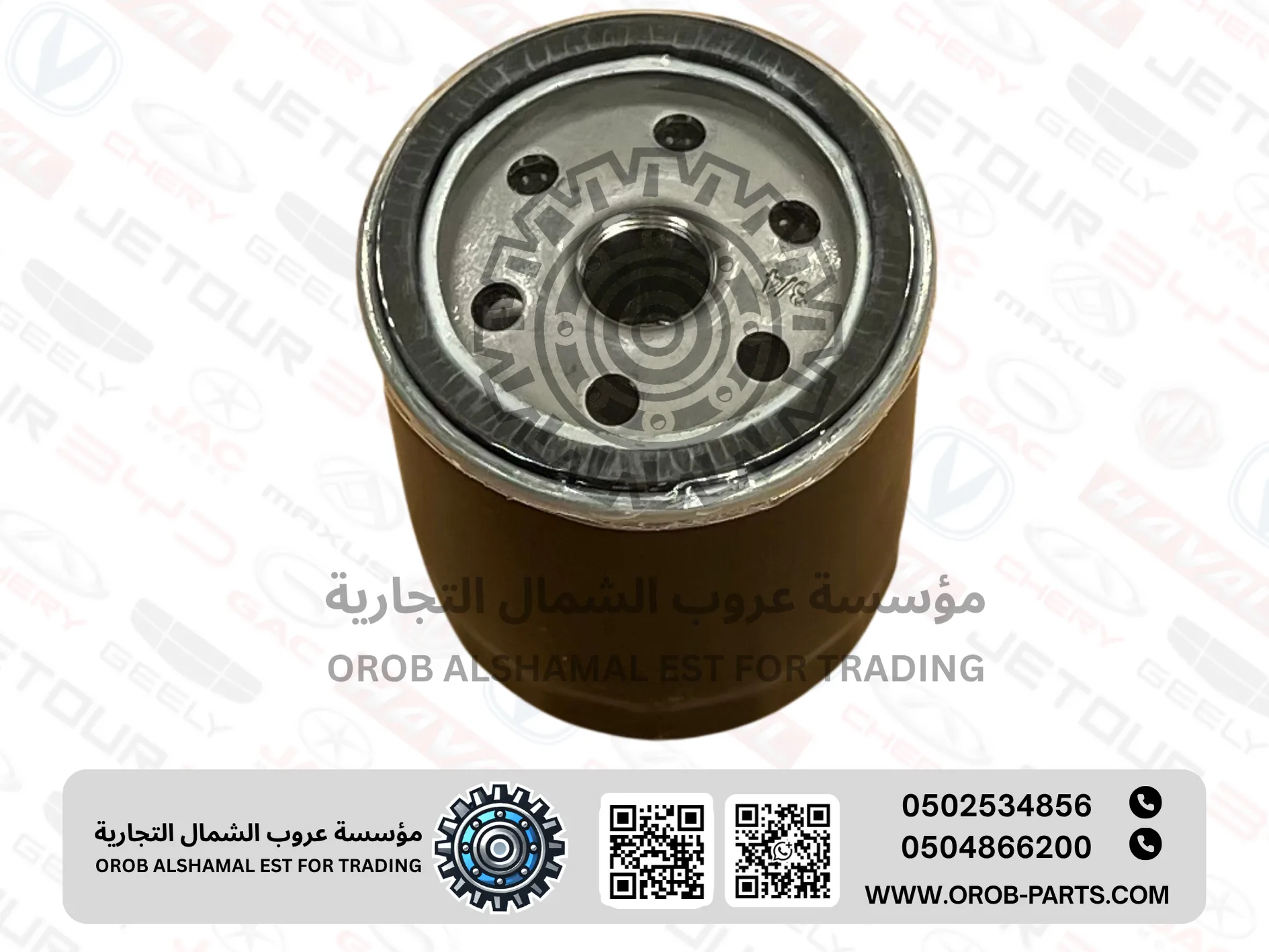 فلتر زيت - تيقو 2 برو