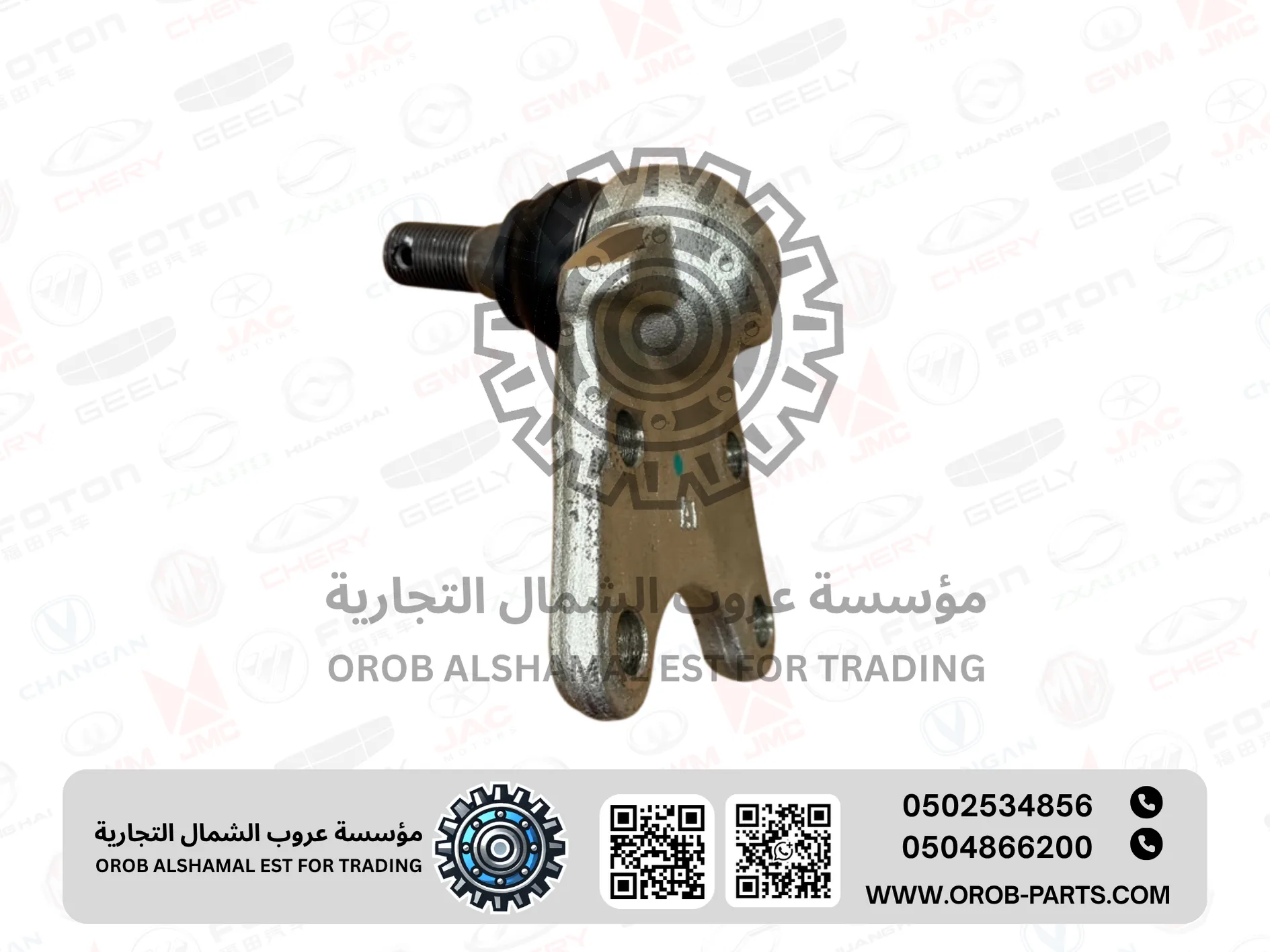 ركبة مقص سفلية (جوزة) (يمين/يسار) - JMC فيقس