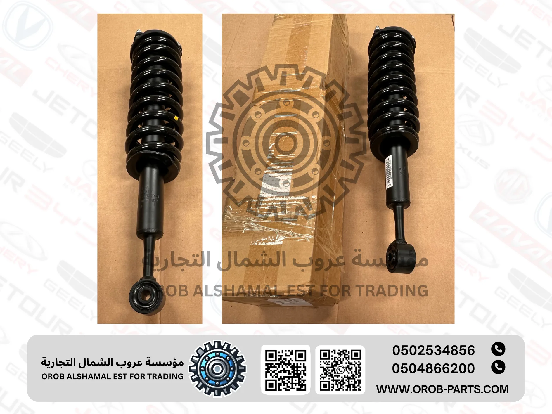 Shock absorber Front LH/RH - JAC T8