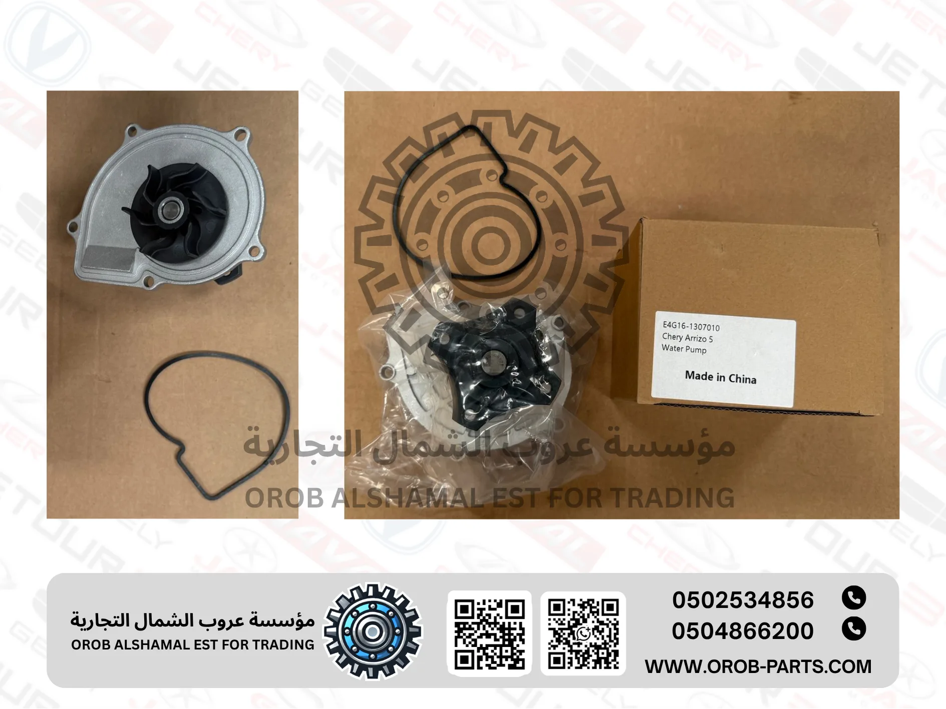 Water Pump - Arrizo 5