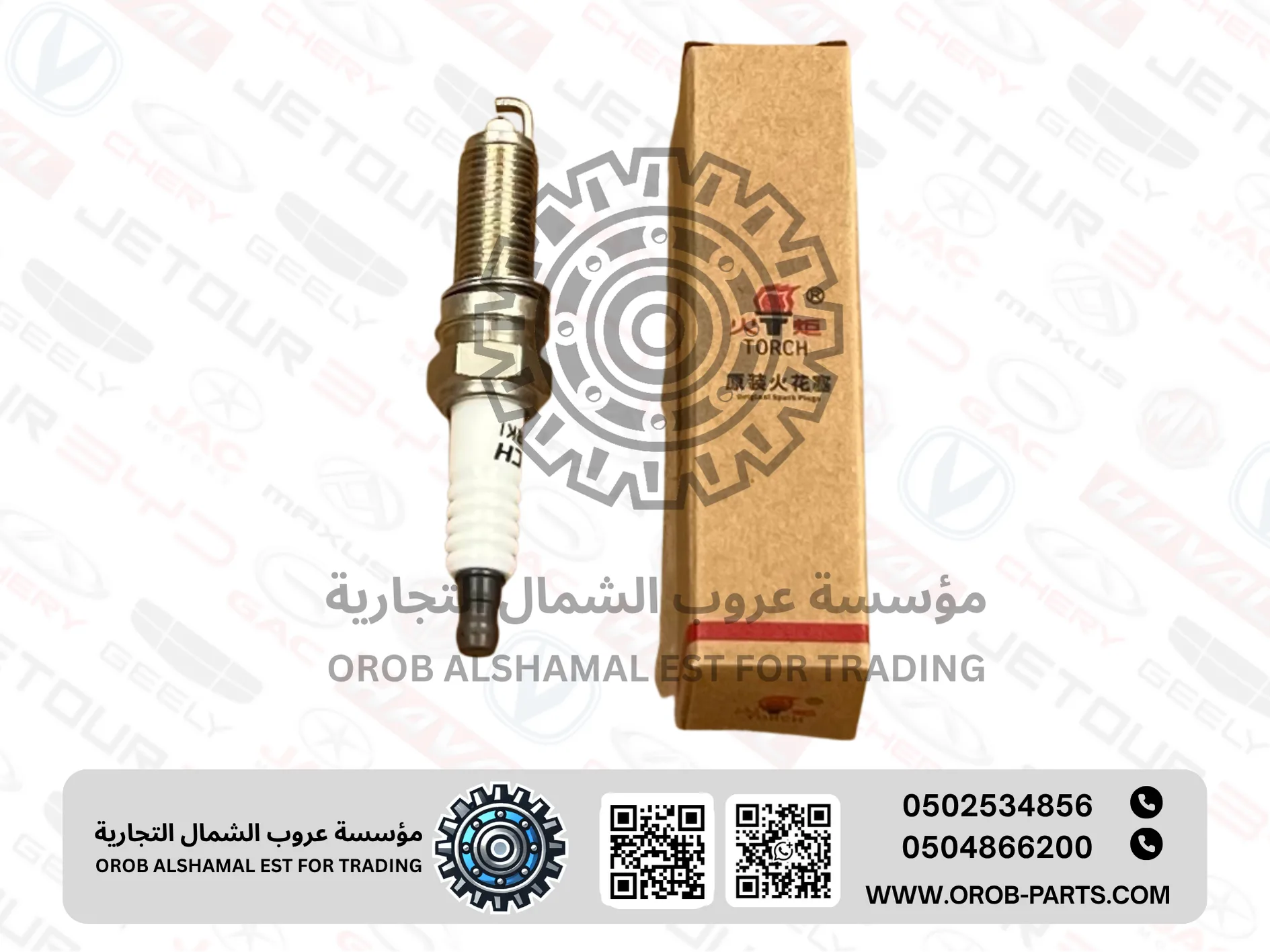 Spark Plug set - Arrizo 5