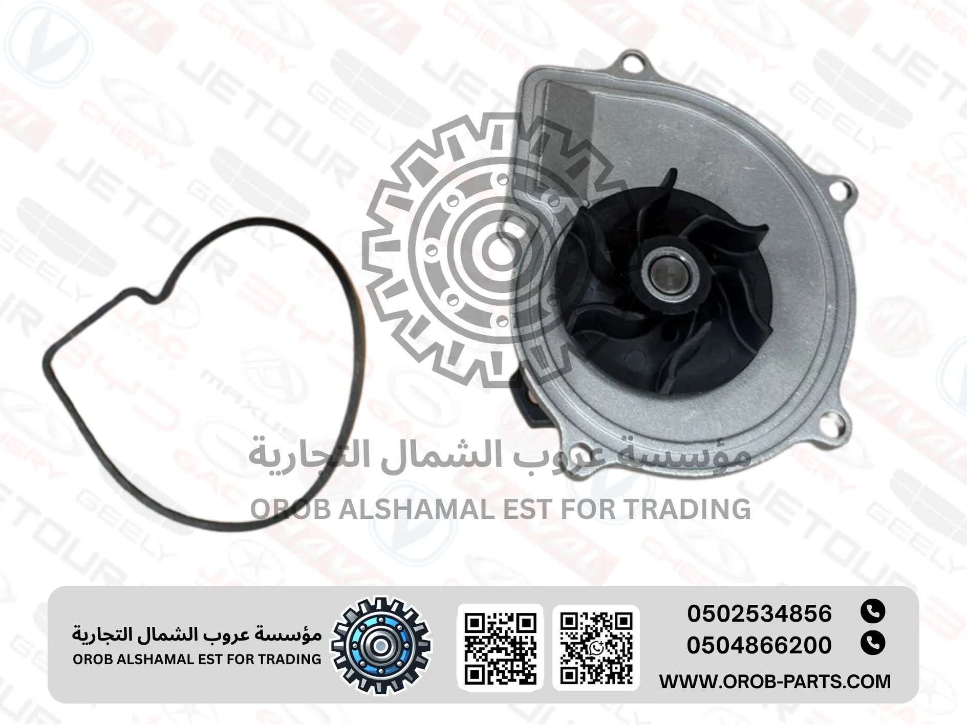 Water Pump - Arrizo 5