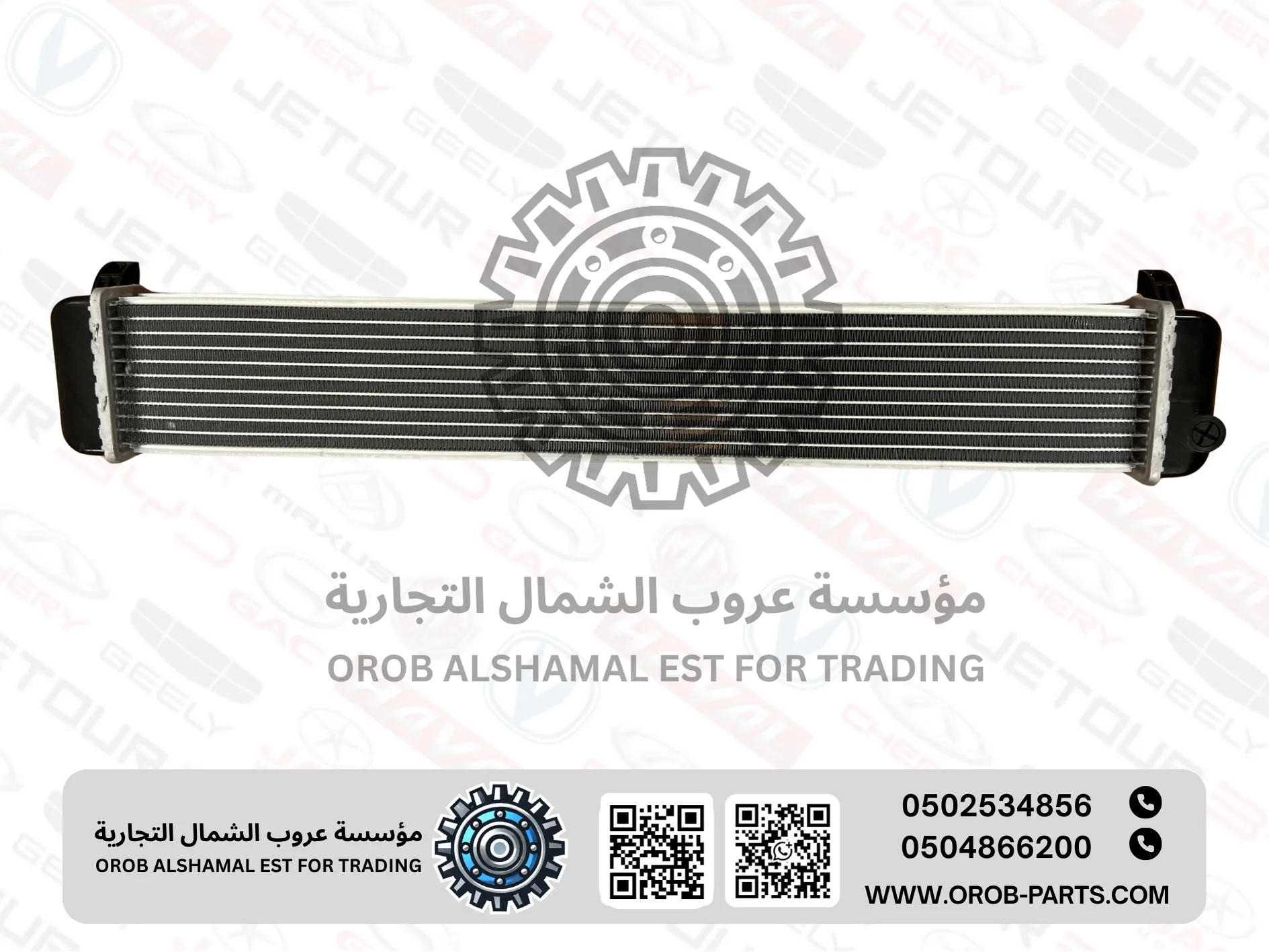 Intercooler - Arrizo 5