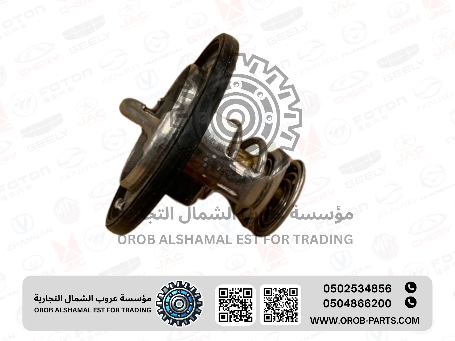 Thermostat - JMC VIGUS