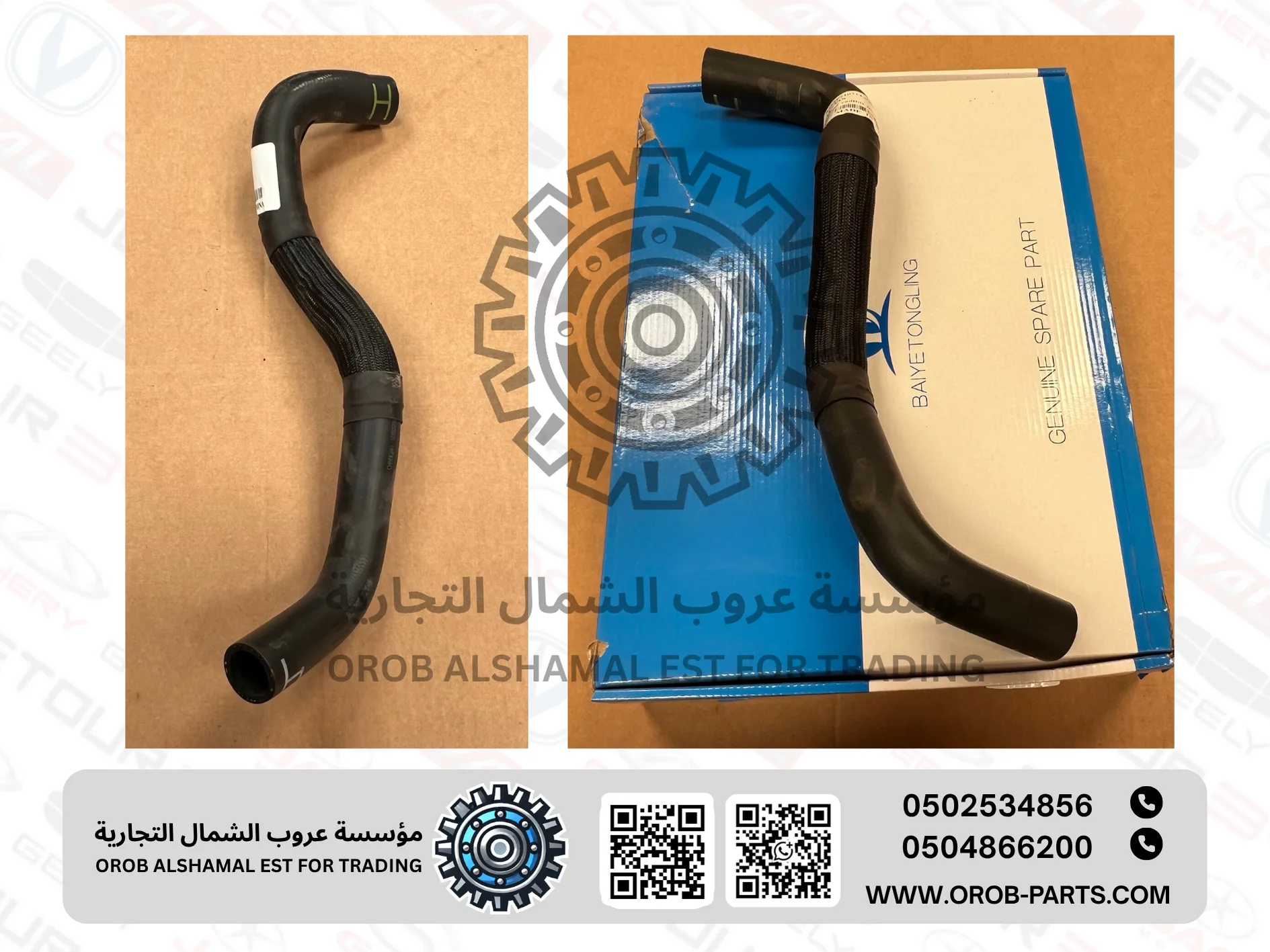 Lower raditor hose - ALSVIN