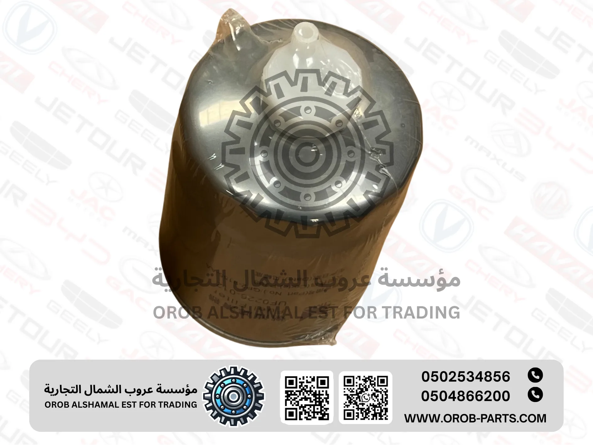 Diesel Filter 2 - JAC T8
